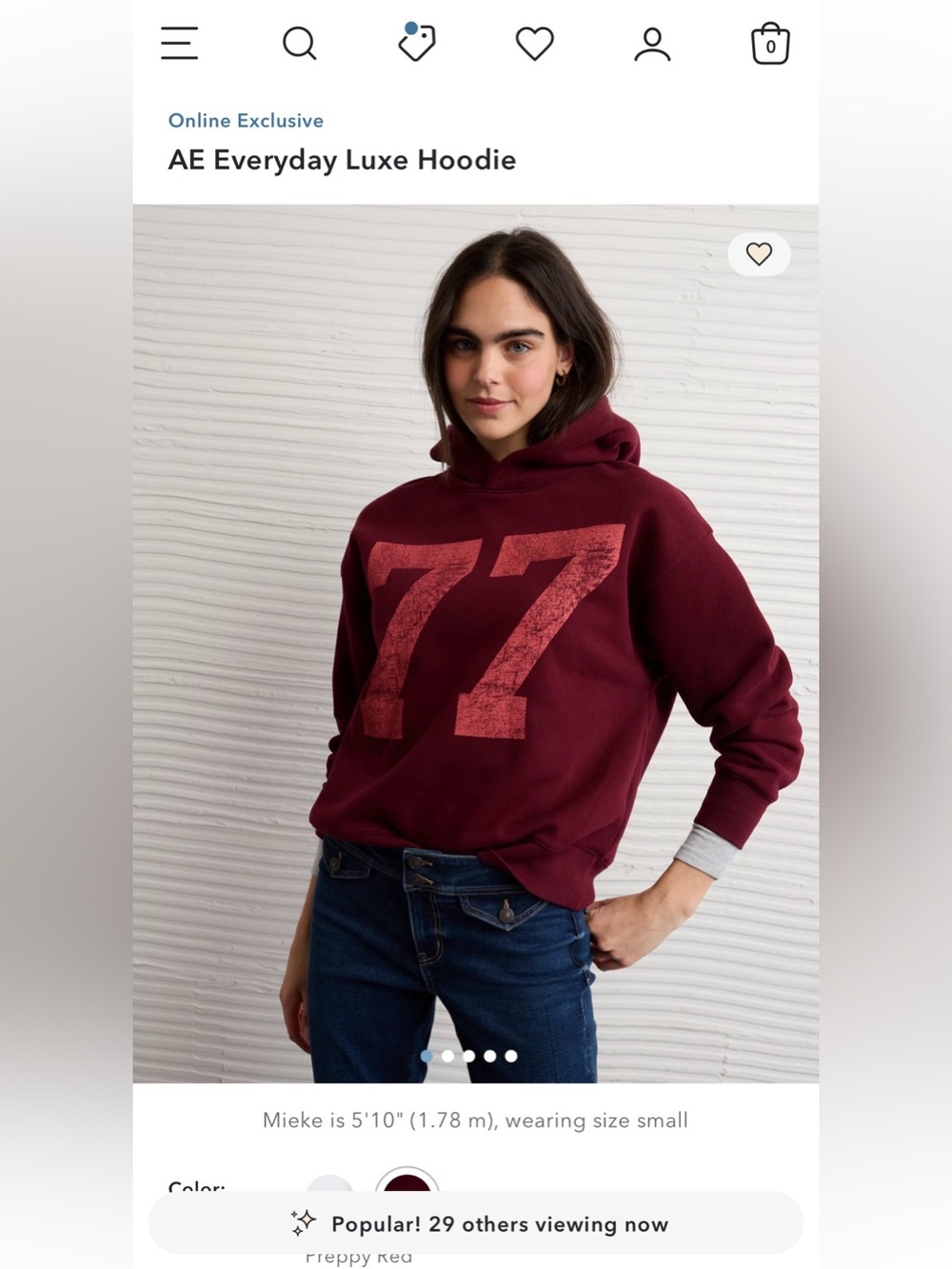 NWT AE Hoodie 🔥